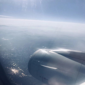 无码免费一区二区三区
