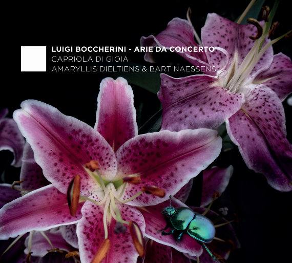 无码免费一区二区三区
